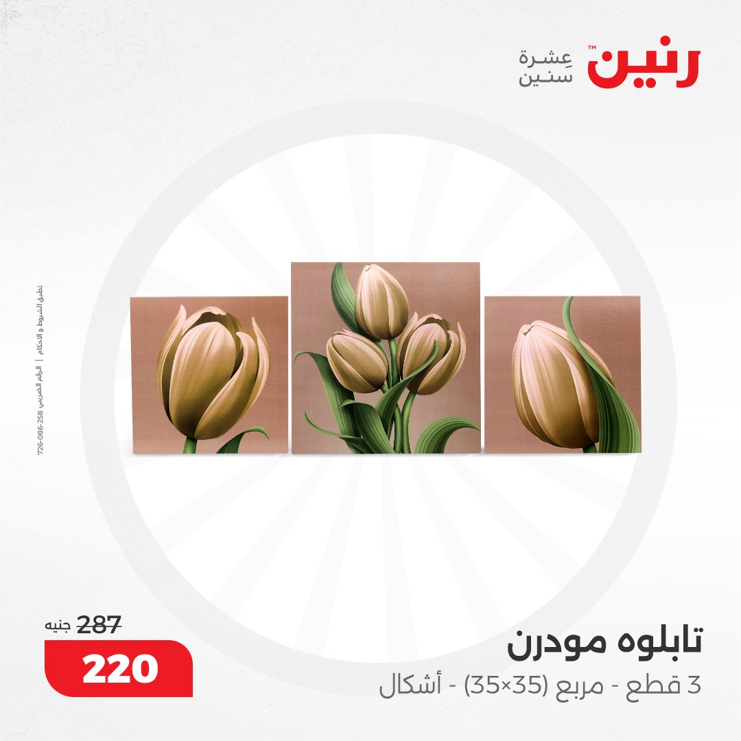 raneen offers from 10dec to 11dec 2024 عروض رنين من 10 ديسمبر حتى 11 ديسمبر 2024 صفحة رقم 8